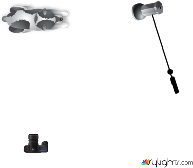 girlonhorse_beach_diagram by Guest User