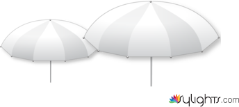 dcxvvcv by Guest User