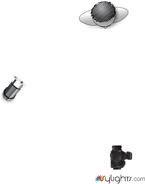 Fotograma 3  by Guest User