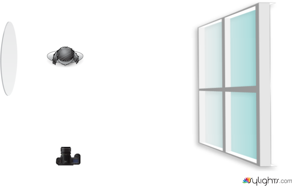 Planta de luces ojos vendados by Guest User