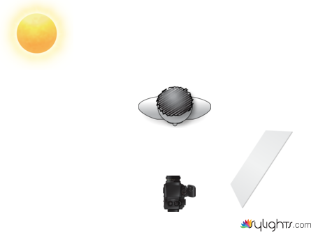 frame 1 by Guest User