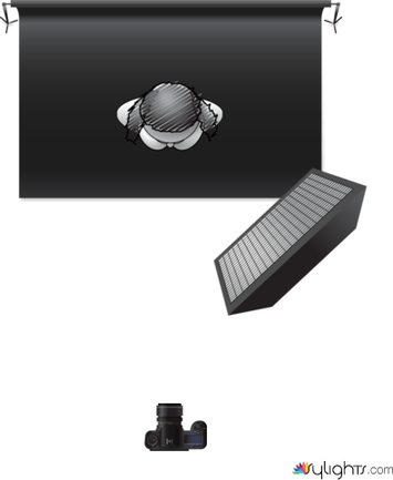 Single Light by Guest User