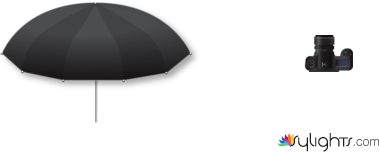 bounce by Guest User