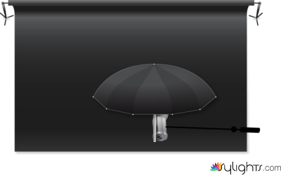 bounce by Guest User