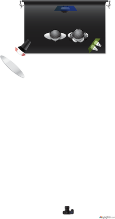 planta by Guest User