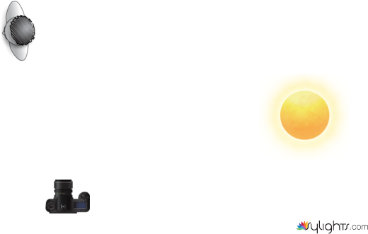 aefdfegvdsz by Guest User