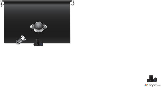 LUZ REMBRANDT by Guest User