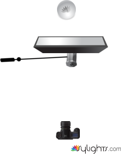 bunch of roses by Guest User