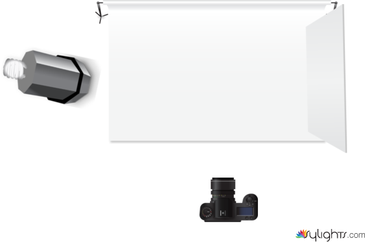 AmyLus by Guest User