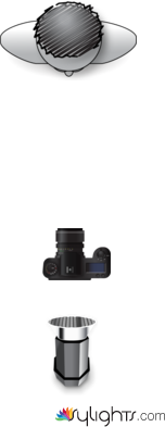 c1 Informe by Guest User