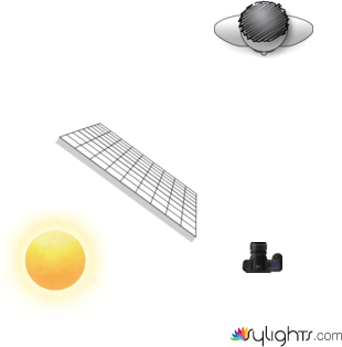 Retrato Eitel by Guest User