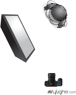 Marlene Dietrich by Guest User