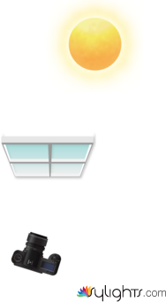 Dead fly by Guest User