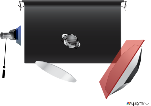 BUTTERFLY by Guest User