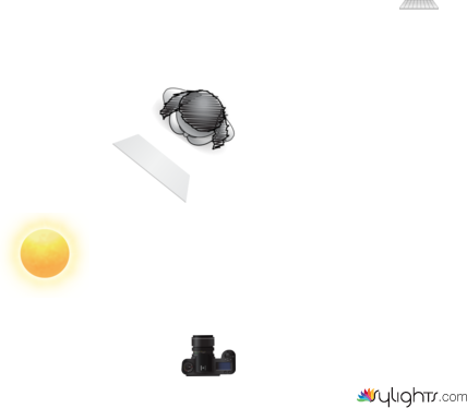 Variacion retrato Clamshell Lore by Guest User