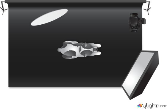 isabella by Guest User