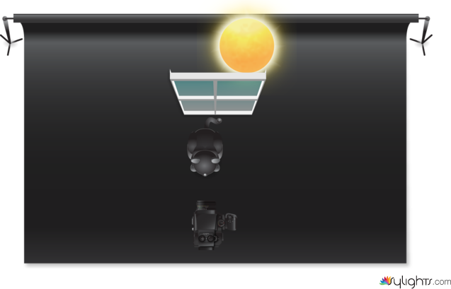 Foto mi gato by Guest User