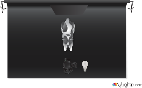 Fotografía  by Guest User