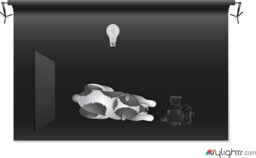 foto de mi perro by Guest User