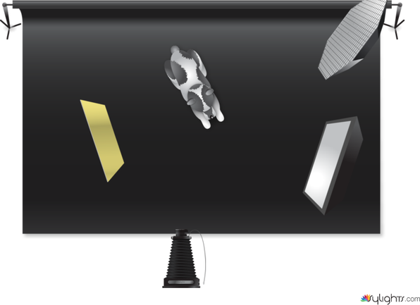 CAMILA by Guest User