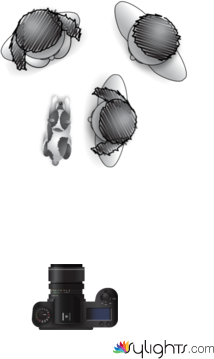 low key by Guest User