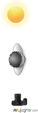 PRIMER PLANO by Guest User