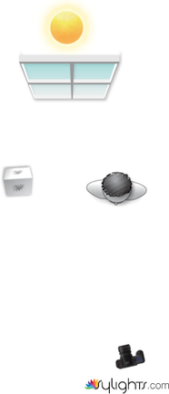 Boceto1 by Guest User