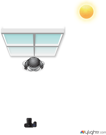 BOCETO4 by Guest User