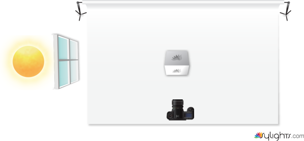 PLANTA FOTO 1 by Guest User