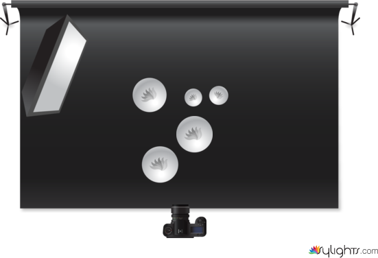 burger by Guest User