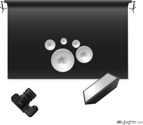 Beef Curry Still Life by Guest User