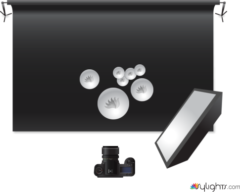 Beef Curry Still Life by Guest User