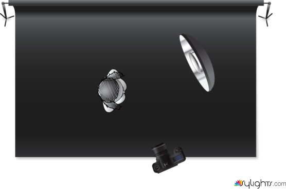 glasses by Guest User