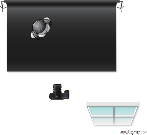 Low Key 2 by Guest User