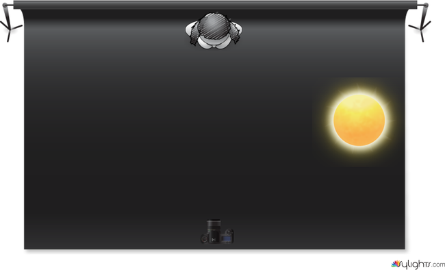 image 1 by Guest User