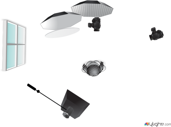 Sleepy Hollow Doc by Guest User