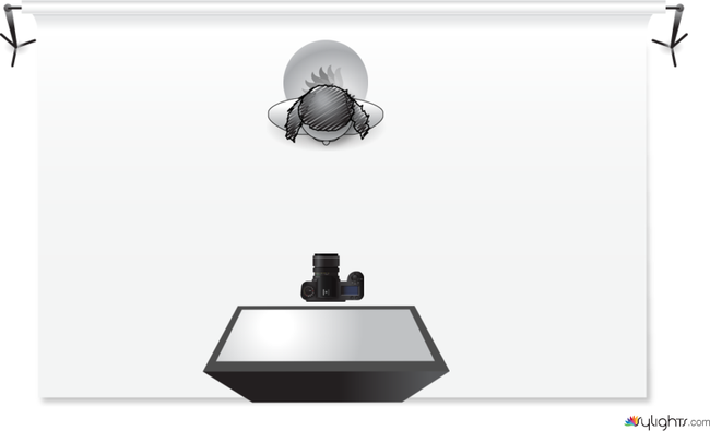 image  by Guest User