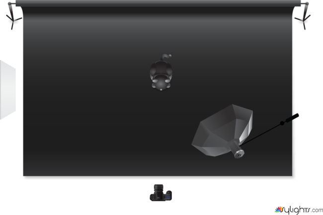 giraffe by Guest User