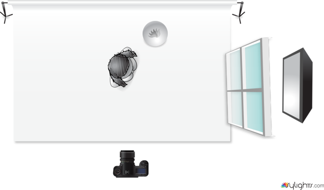 fkvbjxvnb;kxn by Guest User