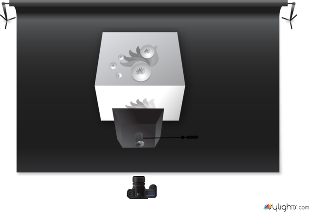 Shoes 1 by Guest User