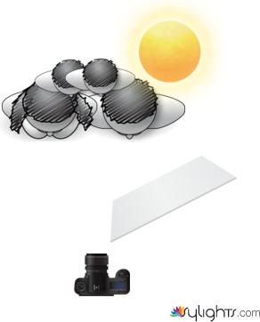 dfasdffdw by Guest User