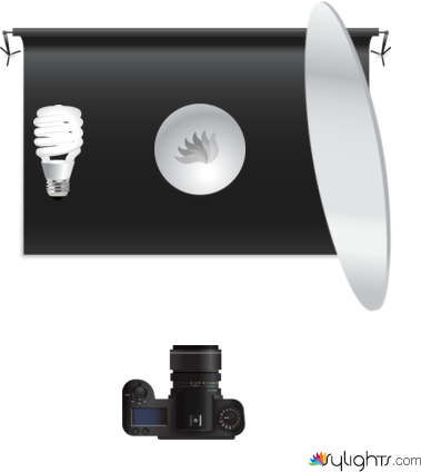 image 2 by Guest User