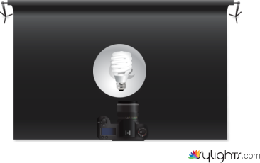 image 1 by Guest User