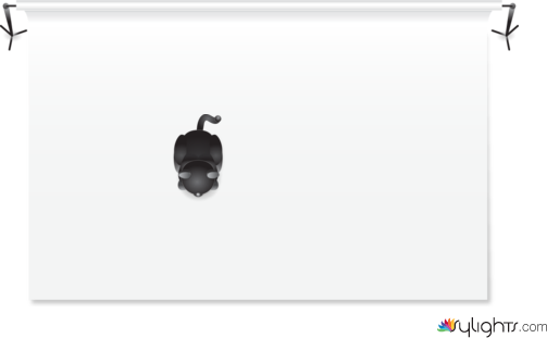 Rembrandt with a honeycomb by Guest User