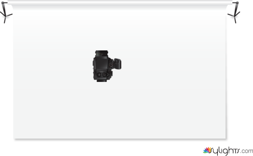 Rembrandt with a honeycomb by Guest User