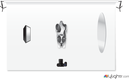 Split with fill by Guest User