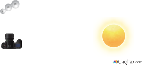 planta herbaria by Guest User