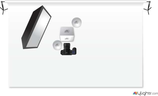 flowers by Guest User