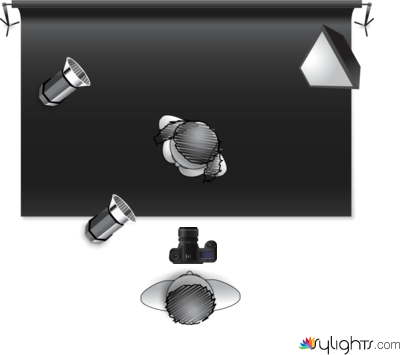 Butterfly by Guest User