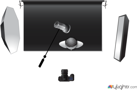 Butterfly by Guest User